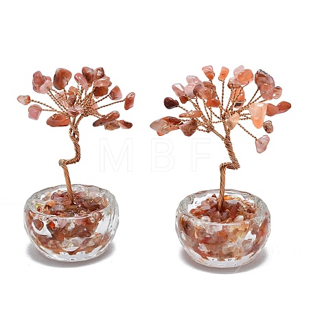 Natural Carnelian Chip Pachira Glabra Display Decorations DJEW-K025-04G-1