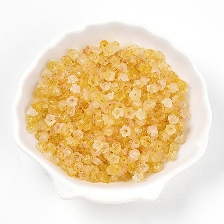 Frosted Transparent Acrylic Beads LS-X-OACR-N137-72G-1