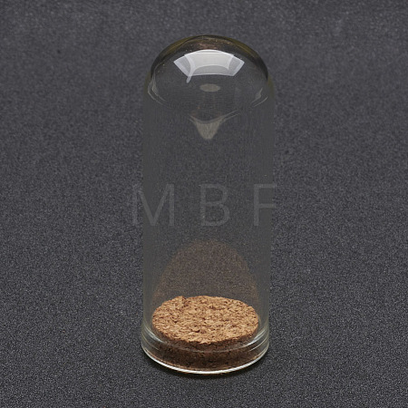 Glass Dome Cloche Cover X-AJEW-P043-L-1