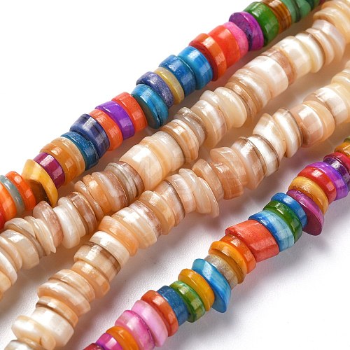 Natural Freshwater Shell Beads Strands SHEL-C001-06-1