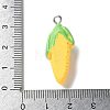 Resin Iron Pendants RESI-D280-18-3