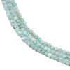 Natural Amazonite Bead Strands X-G-P279-42-2mm-01-3