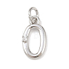 Brass Micro Pave Clear Cubic Zirconia Charms KK-P339-27P-2