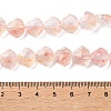 Inner Flower Handmade Lampwork Beads Strands LA-CBA3F7A-02C-4