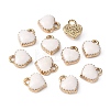Alloy Enamel Charms LS-X-ENAM-Q033-051B-3