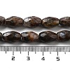 Natural Llanite Beads Strands G-P520-C24-01-5