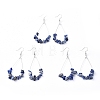 Dangle Earrings EJEW-E255-B01-2