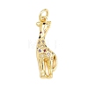 Brass Micro Pave Clear Cubic Zirconia Pendants KK-H273-48G-02-1