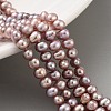 Natural Cultured Freshwater Pearl Beads Strands PEAR-C003-10E-2