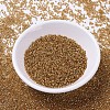 MIYUKI Delica Beads X-SEED-J020-DB1201-2