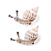 Snail Natural Conch Shell Fossil Brooch Pin JEWB-A020-01G-03-1