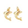 Brass Micro Pave Cubic Zirconia Charms KK-F927-13A-01G-1