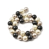 Round Shell Pearl Beads Strands BSHE-XCP0001-26B-2