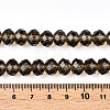 Glass Beads Strands EGLA-A034-T10mm-D16-4