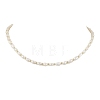 Natural Cultured Freshwater Pearl Beaded Necklaces NJEW-JN05058-1