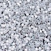 MIYUKI Delica Beads LS-X-SEED-J020-DB0670-3