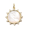 Brass Natural Shell European Dangle Charms KK-H529-10G-1