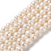 Natural Cultured Freshwater Pearl Beads Strands PEAR-E018-04-1