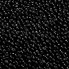 MIYUKI 3.4mm Drop Beads SEED-MY04-DP401-4