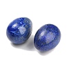 Dyed Natural Lapis Lazuli Egg Stone GG-L654-H02-04-2