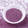 MIYUKI Delica Beads SEED-X0054-DB2156-2
