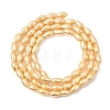 Electroplated Shell Pearl Beads Strands BSHE-C010-01A-2