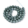Natural Jadeite Beads Strands G-N353-07C-01-3