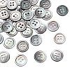 36Pcs Natural Shell Buttons BUTT-FG0001-14-1