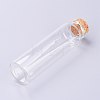 Glass Bottles LS-AJEW-H102-06D-2