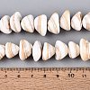 Natural Sea Shell Beads Strands SHEL-Q028-02-4