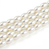 Baking Paint Pearlized Glass Pearl Bead Strands HY-T002-01B-02-3