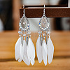 Alloy Rhinestone Teardrop Dangle Earrings FS-WGBDF6F-12-1