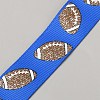 Polyester Ribbon OCOR-WH0109-107B-2