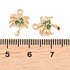 Brass Micro Pave Cubic Zirconia Pendants KK-L261-12G-3