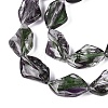 Handmade Lampwork Beads Strands LA-N046-02B-3