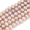 Natural Cultured Freshwater Pearl Beads Strands PEAR-I007-07X-06E-2