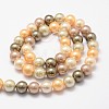 Shell Pearl Bead Strands BSHE-L017-12-2