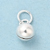 925 Sterling Silver Charms STER-G033-01S-2