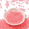 Glass Seed Beads SEED-H002-L-A237-2