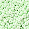 Baking Paint Glass Seed Beads X1-SEED-B001-02A-11-3