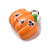 Halloween Theme Opaque Resin Charms RESI-D075-01L-2