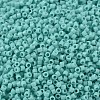 MIYUKI Delica Beads SEED-MY11-DB1136-1