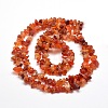 Natural Agate Chip Bead Strands G-M205-47-2