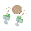 Dyed Natural Quartz Grapes Dangle Earrings EJEW-JE05689-03-3