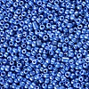 8/0 Glass Seed Beads SEED-US0003-3mm-123B-2