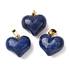 Dyed Natural Lapis Lazuli Pendants G-B188-04G-01-1