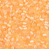 Glass Seed Beads SEED-N007-27E-3
