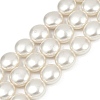 Electroplated Shell Pearl Beads Strands BSHE-G027-13E-2