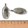 Natural Labradorite Pendants GG-CBACB71-01P-04-3
