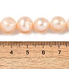 Natural Cultured Freshwater Pearl Beads Strands PEAR-I007-07S-02-5